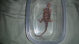 20170610_054447.jpg
