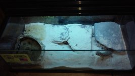 20160306_142502.jpg