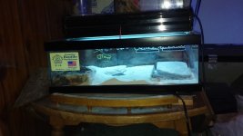 20160306_142431.jpg