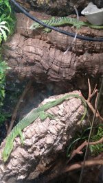 IMG_20170510_073903484.jpg
