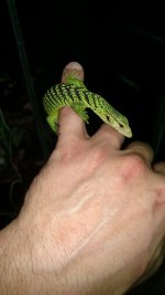 IMG_20170330_214547412.jpg