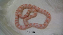 IMG_20170923_172127_kindlephoto-313346.jpg