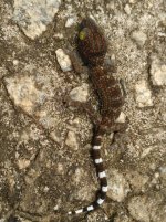IMG_20170512_095239.jpg