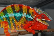 IMG_4075.jpg
