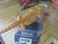 IMG_0287.jpg
