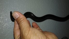 20170307_161154.jpg