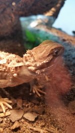 20170610_140039.jpg