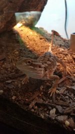 20170610_140240.jpg