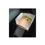 IMG_7586.jpg