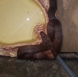 20170610_134927.jpg
