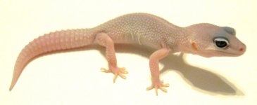 IMG_1344.jpg