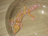 2010 babies 007.jpg