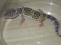 2010 babies 008.jpg