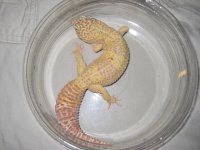 2010 babies part 2 001.jpg