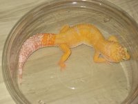 2010 babies 013.jpg