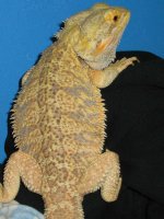 C1GYIHX8WLQBZANKGD.jpg