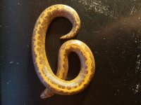 20170802_164125.jpg