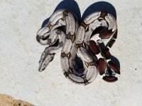 20170820_154002.jpg