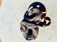 20170820_153848.jpg