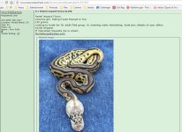 MyrtleHerps2.jpg