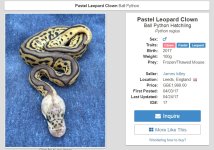 MyrtleHerps1.jpg