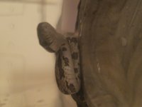 20170324_132137.jpg