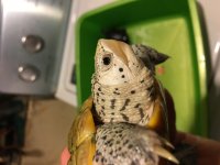 IMG_0193.jpg