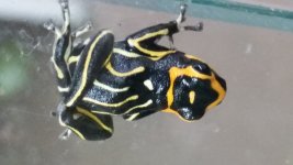20161227_160709.jpg