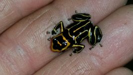 20160416_162420.jpg