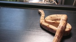 20170525_134909.jpg