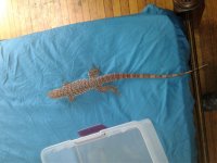 20170708_141525.jpg
