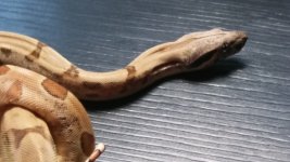 20170525_134752.jpg