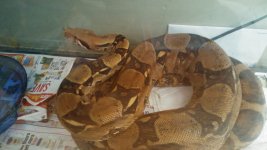 20170204_095248.jpg