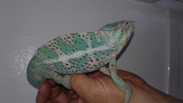 20170625_110334.jpg