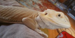 2017-04-07 20.50.45.jpg