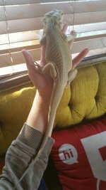 2017-04-07 20.51.08.jpg