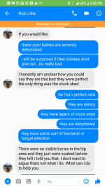 pm3.png