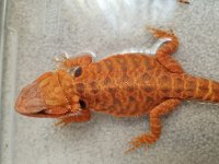 20170721_104221.jpg