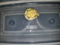 20170625_125234.jpg