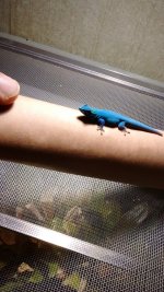 IMG_20170625_084903869.jpg