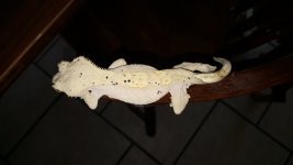 20170730_175207.jpg