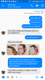 pm11.png