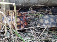 20170527_093129.jpg
