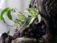 20170610_233834.jpg