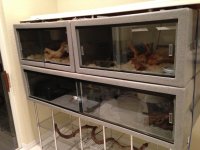 IMG_0042.jpg