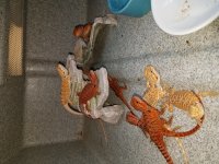 20170823_130851.jpg