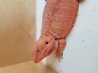 20170625_151824.jpg