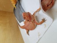 20170619_150014.jpg