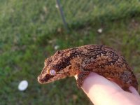 20170916_183745.jpg
