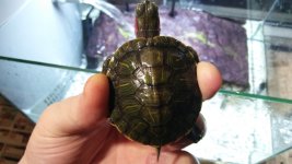 20170320_192105.jpg